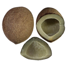 Cinagro Dry coconut 500 gms